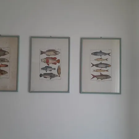 Per Te Appartement Capraia