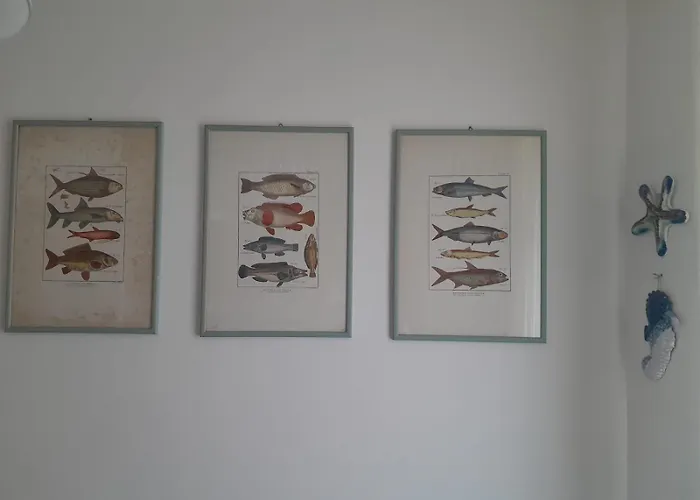 Per Te Apartamento Capraia